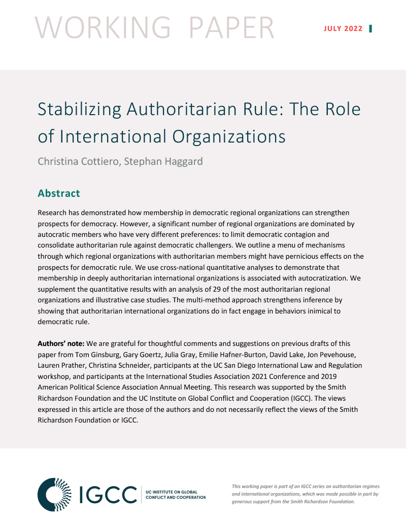 role of international organizations essay