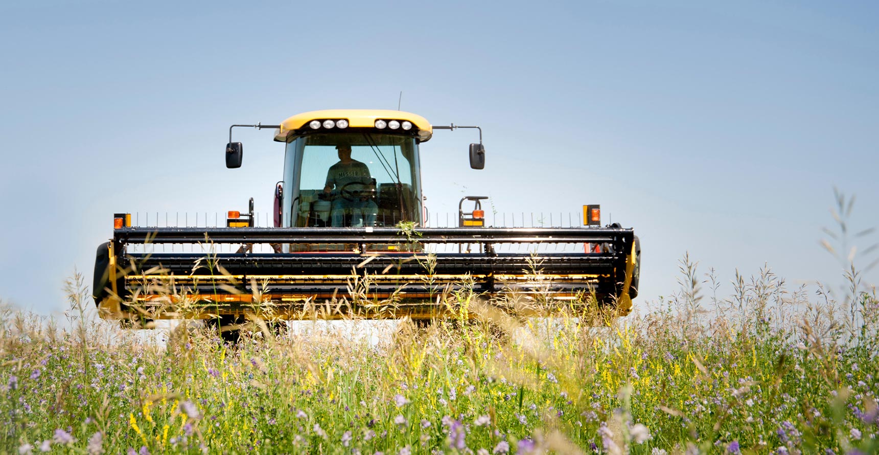 Alfalfa field with a combine harvester.