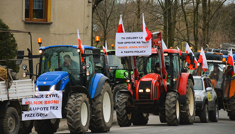 Tractors being driven down a street as part of a farmer's protest against climate regulations in Poland, February 2024