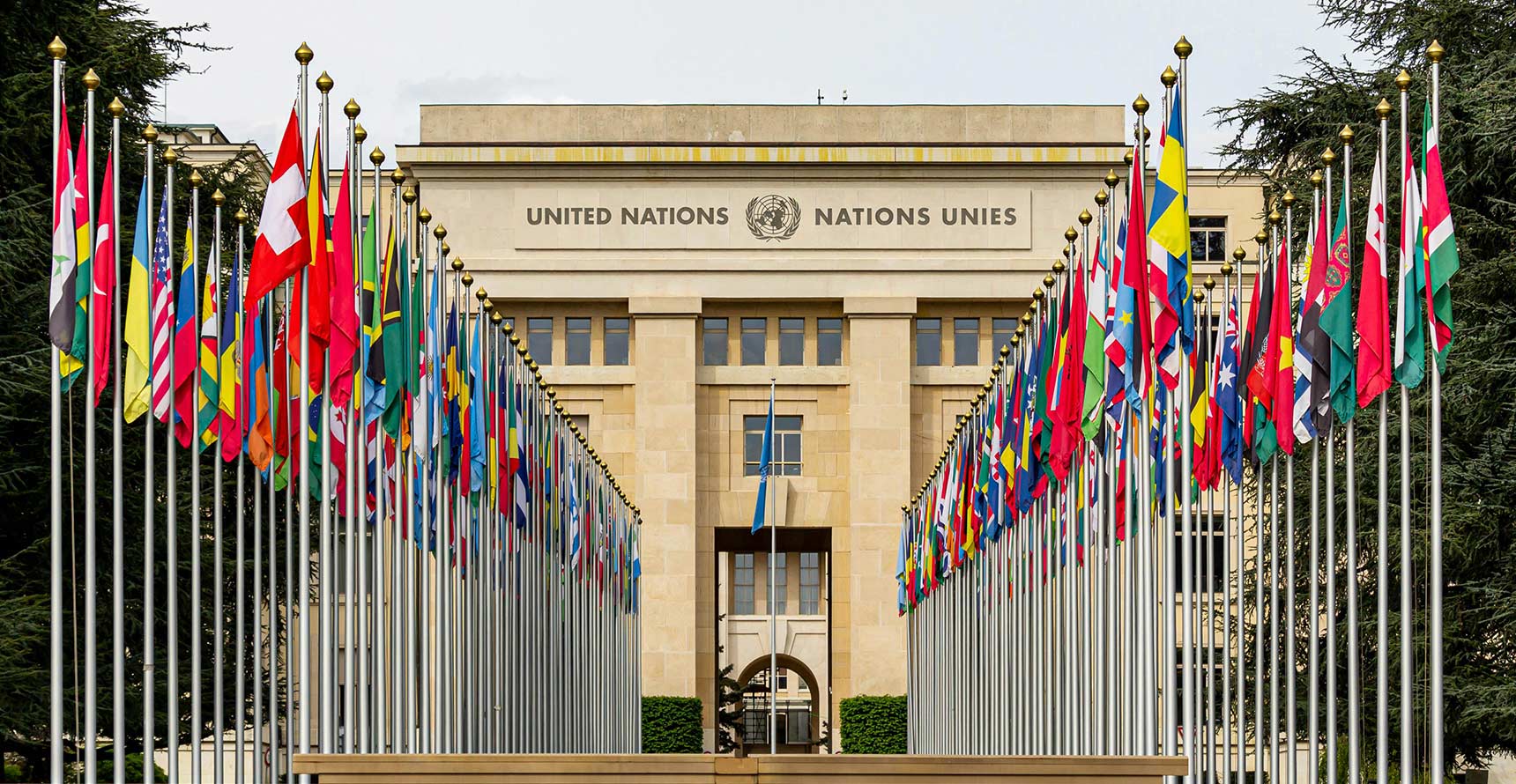 Flags of member nations flying in front of the UN office, Geneva.