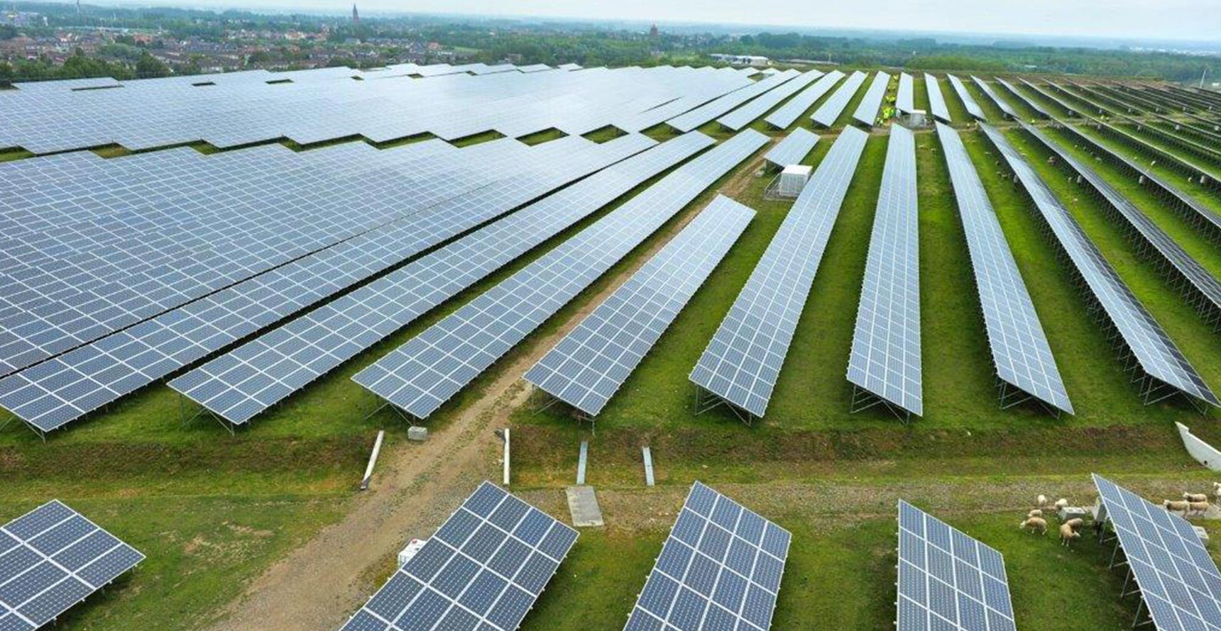 An array of solar panels in a field in Belgium