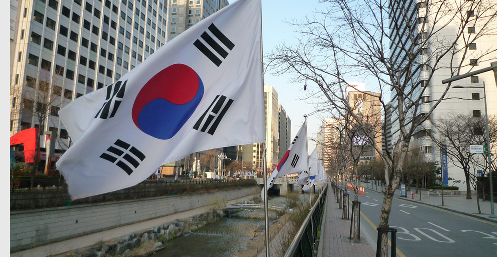 A series of South Korean flags flying over a stream