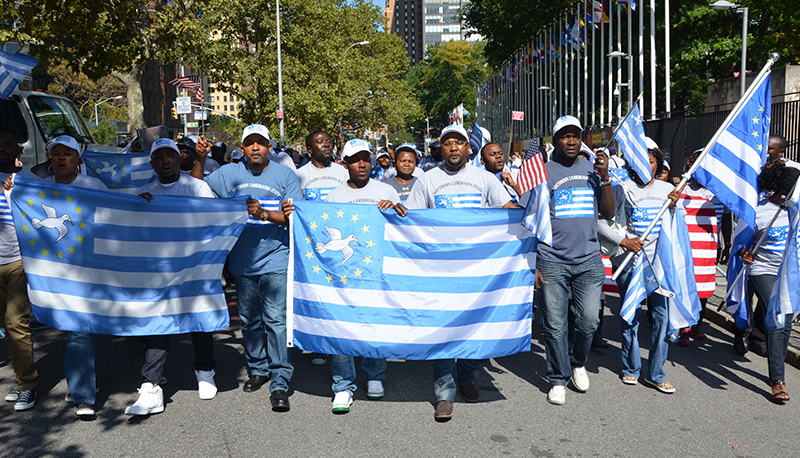 Cameroon anglophone movement march