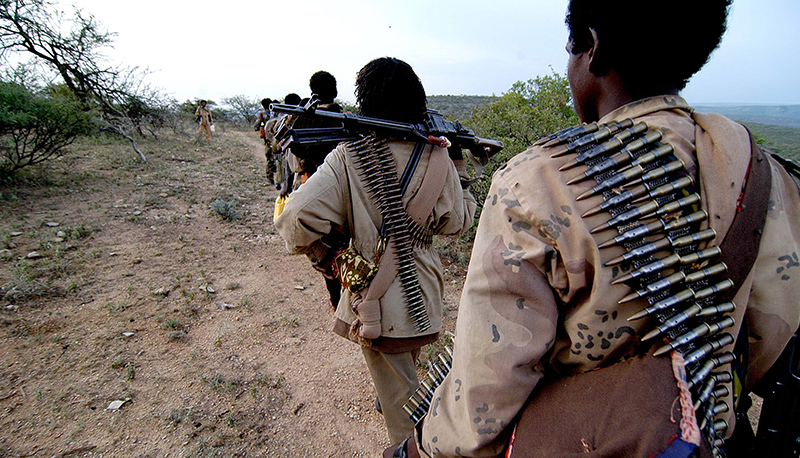 A unit of armed ONLF rebels in Somalia